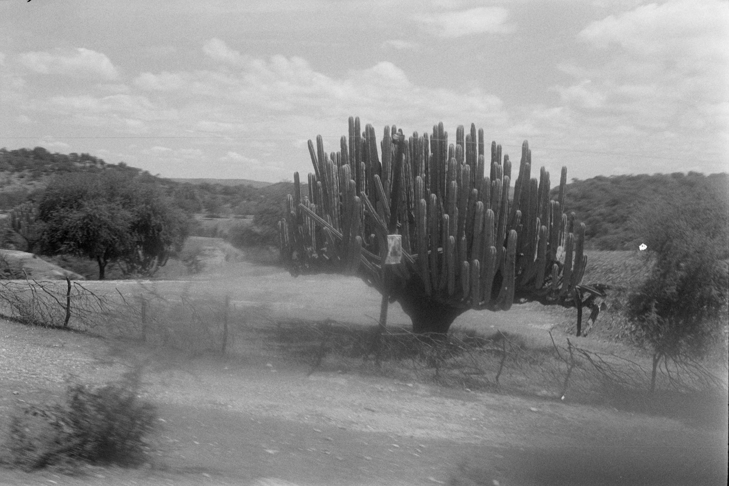 AHP FilmScan 240807 0623